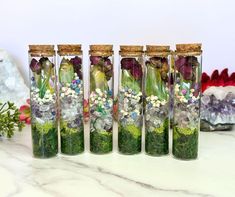 four glass vases filled with flowers and moss