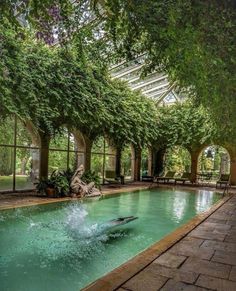 a man diving into a swimming pool surrounded by green plants and trees in the background