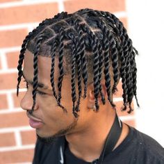 Single Braids Hairstyles, Two Strand Twist Hairstyles