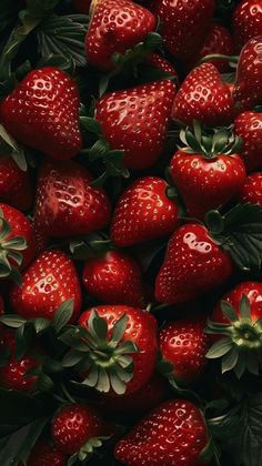 a bunch of red strawberries with green leaves