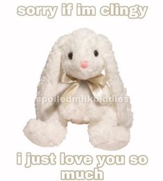 a white stuffed animal with the words sorry if i'm clingy, i just love you so much