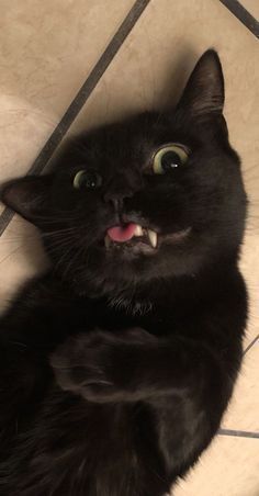 a black cat laying on the floor with its mouth open and tongue out, looking up