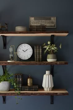 some shelves with books and plants on them