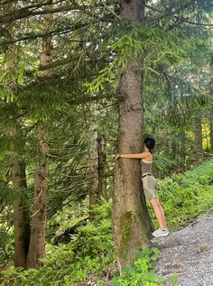 a person climbing up the side of a tree on a trail in the woods with their arms stretched out