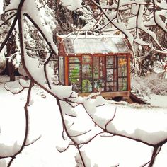 a small building in the middle of some trees with snow on it's branches