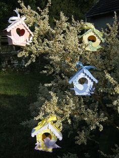 several bird houses are hanging from a tree