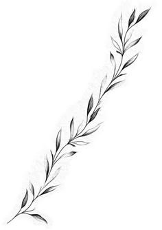 Wrap Around Vine Tattoo Stencil, Spine Vine Tattoo, Olive Leaves Tattoo Design, Flowers Wrapped Around Arm Tattoo, Laurel Drawing, Vines Tattoo Design, Greenery Tattoo, Wrapped Around Arm Tattoo, Flower Vine Tattoo