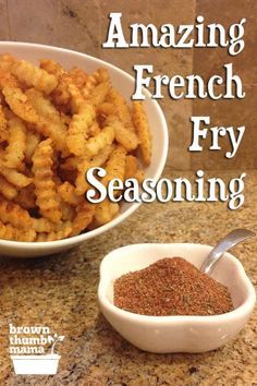 the cover of an amazing french fry seasoning cookbook, with a bowl of seasoned fries