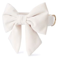 a white bow tie with a gold ring on the front and back of its head