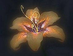 an image of a flower that is glowing in the dark