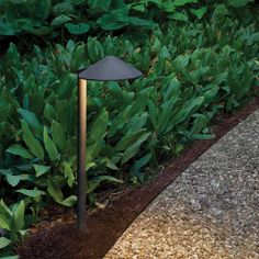 Hinkley's Hardy Island LED Path Light's includes several different styles, including the Rounded Side Mount outdoor fixture. Made of Cast Brass, it features a rich, weathered Matte Bronze finish that will mature naturally over time. This sturdy, dilated cone-shaped shade encompasses the integrated 1.5w LED lamp (included), dimmable with an MLV transformer, behind an Etched Lens. Includes a wiring kit and ground spike and is suitable for use in wet locations. Hinkley Hardy Island 150-Lumen 1.5-Watt Matte Bronze Low Voltage Hardwired LED Outdoor Path Light (2700 K) | 16012MZ-LL Path Lighting Ideas, Landscape Pathway Lighting, Walkway Lighting, Outdoor Path, Front Walkway, Outdoor Path Lighting, Garden Indoor, Pathway Lighting, Hinkley Lighting