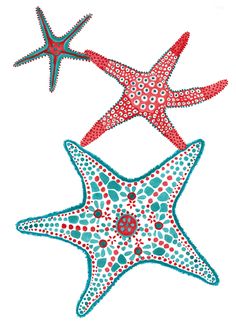 two red and blue starfishs are hanging from the ceiling in front of a white wall