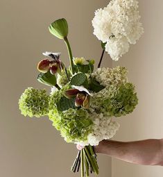 a hand holding a bouquet of white and green flowers