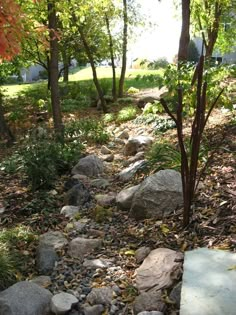 rocks and trees in the middle of a park with leaves on the ground near by