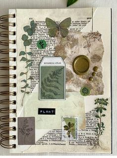 an open notebook with papers and plants on it