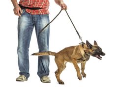 a man is walking his dog on a leash