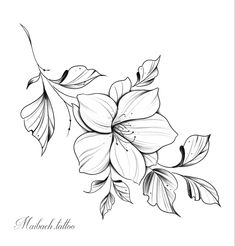 a black and white drawing of flowers with leaves on the bottom half of their petals