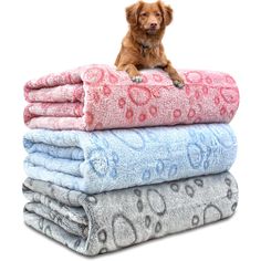 a brown dog sitting on top of a pile of towels