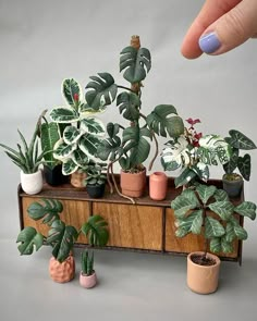 a hand reaching for some plants on top of a wooden box filled with potted plants