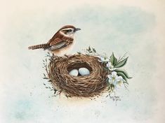 a bird sitting on top of a nest with two eggs in it's beak