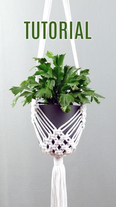 macrame plant hanger, air plant hanger tutorial, plant hangings, macrame plant holders,hanging plant holder, how to weave, boho home decor diy, macrame tutorial, macrame cord, perchas de macramé, plantas colgantes, makramee anleitung, makramee blumenampel, makrama, makrome, кашпо макраме, Diy Macrame Plant Hanger Easy, Diy Macrame Plant Hanger Pattern, Plant Hanger Diy, Macrame Hanging Planter, Macrame Planter