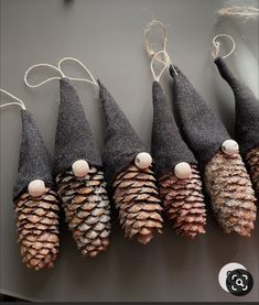 pine cones are lined up in the shape of cones