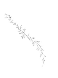 a black and white drawing of a branch with flowers on the end, in front of a plain background