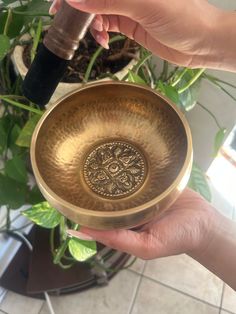 a person holding a metal bowl in their hand next to a potted green plant