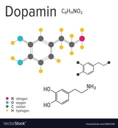 the structure of dopamin