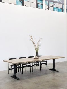 a long table with four chairs and a plant on it in front of a white wall