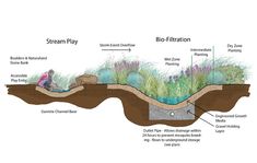 a diagram showing the different parts of a pond and how it's made into a garden