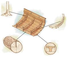 the diagram shows different parts of a tree that are cut in half and placed on top of each other