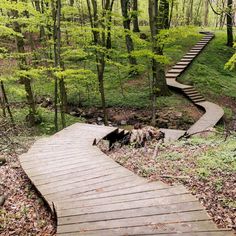 a wooden path in the woods with steps leading up to it and trees on both sides