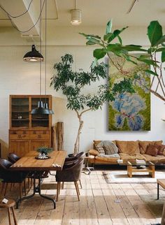 a living room filled with furniture and a tree in the middle of it's center