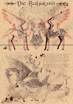 an old book with drawings of deers and birds on it's cover,