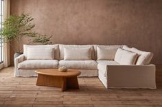 a living room with a couch, coffee table and potted plant in the corner