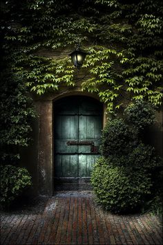 an old door is surrounded by green plants