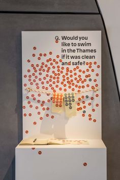 a display case with an orange and white object on it's side that says would you like to swim in the thamess if it was clean and safe?