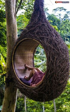 a person sitting in a bird nest hanging from a tree