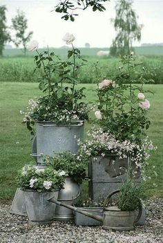 three metal buckets filled with flowers on top of gravel