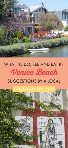 what to do, see and eat in venice beach suggestions by a local artist -