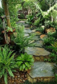 a garden with lots of plants and rocks