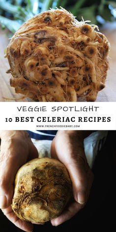 vegetable spotlight 10 best celeriac recipes