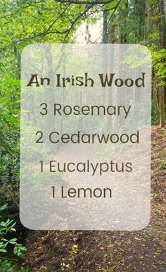 Cedarwood Diffuser Blends, Essential Oil Combinations, Natural Recipes, Essential Oil Diffuser Blends Recipes, Essential Oils Guide, Essential Oils Herbs, Essential Oil Diffuser Recipes, Oil Diffuser Recipes, Essential Oil Blends Recipes