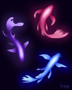 four different colored fish swimming in the dark water at night, one is pink and one is blue