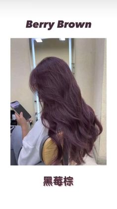 Tip Of Hair Dyed, Hair Dye Inspo Long Hair, 2023 Dyed Hair, Dyed Hair Ideas For Dark Brown Hair, Hair Dye Colors Natural, Dusty Rose Hair Brunette, Pale Cool Skin Tone Best Hair Color, Dark Skin Tone Hair Color, Aesthetic Hair Colour Dyes