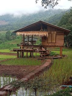 a small hut in the middle of a rice field with steps leading up to it