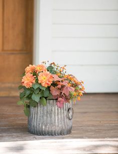 a potted plant sitting on top of a wooden floor next to a white door