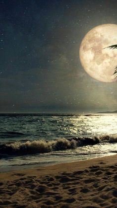 a full moon over the ocean and beach with palm trees on it's side