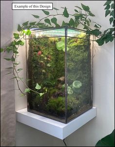 an aquarium filled with plants and rocks on top of a white shelf next to a wall